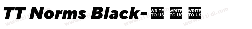 TT Norms Black字体转换